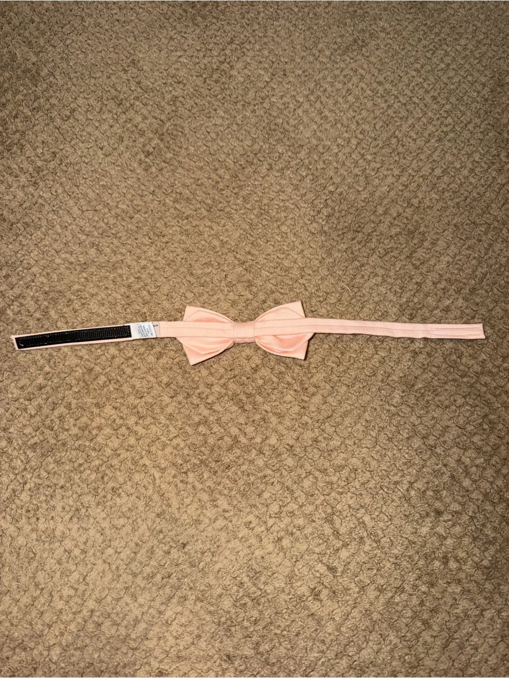 Birdy Grey Harry Kids Bow Tie - Blush Pink